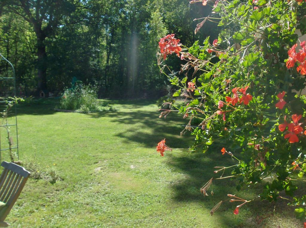 Bed and Breakfast Le Chalet Des 4 Saisons à Mers-sur-Indre Extérieur photo